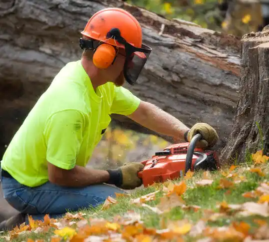 tree services Valley Falls